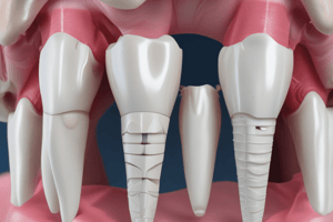 Dental Anatomy: Maxillary First Premolars