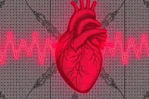 ECG Interpretation Basics