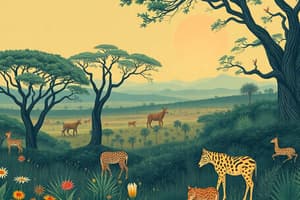 Savanna Ecosystem Quiz