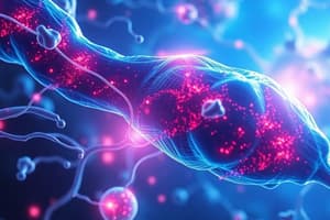 Calcium Ions and Muscle Contraction