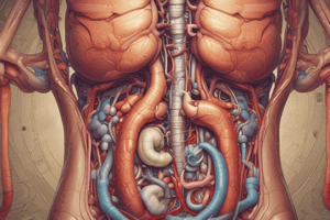 A Focus on Upper GI Pathologies ppt