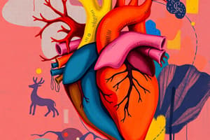 The Cardiovascular System Overview