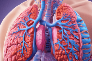 Lung Function Tests and Allergy Diagnostics Quiz