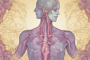 Mechanism of Action in Hypothyroidism