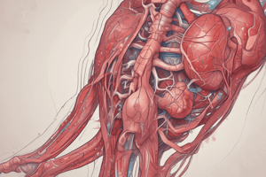 Takayasu Arteritis and Polyarteritis Nodosa