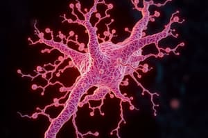 Extracellular Matrix and Connective Tissue 3