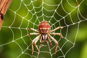 Charlotte's Web Chapter 12 Vocabulary