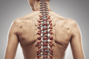 Assessment of Dorso-Lumbar Spine: Low Back Pain