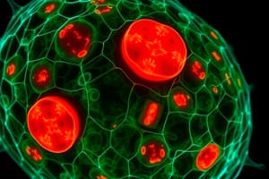 Cell Organelles: Mitochondria and Peroxisomes