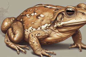 Toad Musculoskeletal System