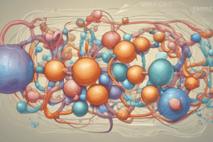 Lecture 2.2 - energy production (carbohydrate 3 and lipids)