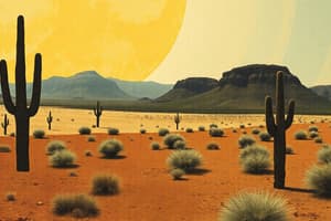 Hot Desert Biome: Climate and Soils