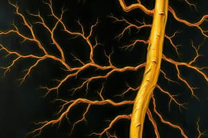 Myelin Sheath and Multiple Sclerosis Quiz