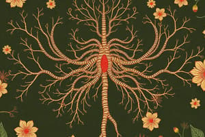 Autonomic Nervous System Quiz