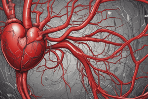 Cardiovascular System Structure