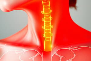 Endocrine System and Thyroid Disorders Quiz