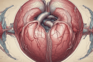 Embryonic Development of Heart and Cardiovascular System