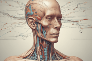 Cranial Nerves and Functions