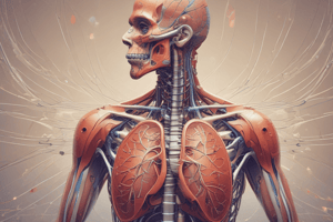 Respiratory System Assessment