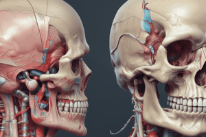 Human Anatomy: Cranial Cavity (Dental 1st Year Lecture 6)