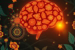 Psychology: Memory Process Stages