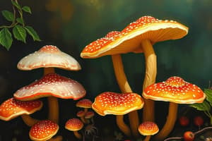 Fungi Questions for Plant Biology Exam 1