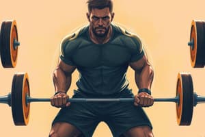 Understanding Weightlifting Techniques