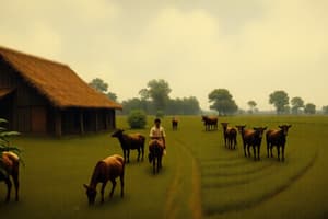 Slavery: Breeding vs. Labor