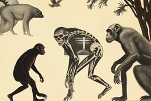 Evolutionary Biology Quiz