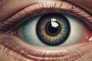 Anatomy of the Eye: Understanding the Cornea