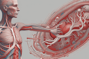 Ninja Nerd - Circulatory System | Arteries of the Lower Limb | Flow Chart