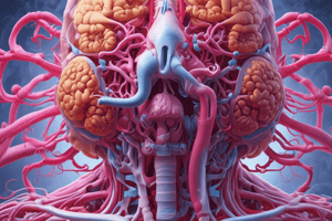 Respiratory System Chapter 22 Quiz: Organs and Structures