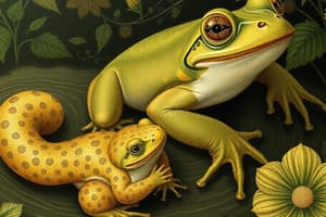 Life Cycle of a Frog