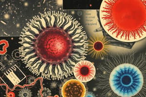 Biology: Eukaryotic vs Prokaryotic Cells