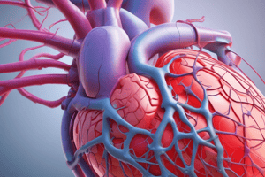 Cardiac Cycle: Phases and Pressure Changes