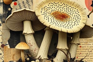 General Characteristics of Fungi