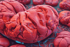 Aterosclerosis y LDL oxidada