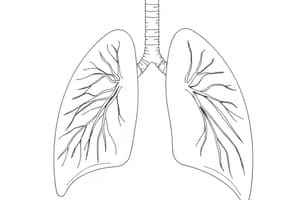 Velocità di scambio gassoso polmonare (Fisiologia 46)