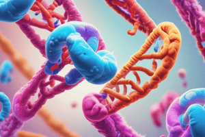 Chromosome Non-Disjunction in Meiosis