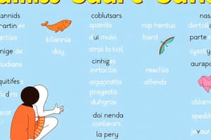 Spanish Vocabulary - Summer Activities