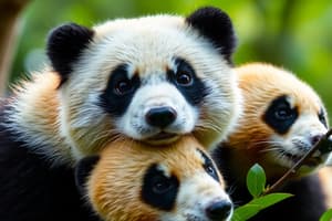 Data Science - Pandas Quiz