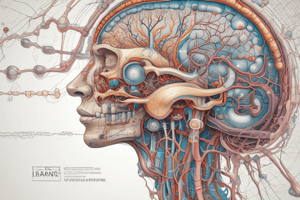 Diploma in Healthcare: Unit 8 - Autonomic Nervous System