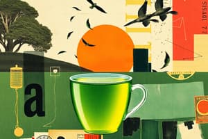 Market Demand for Green Tea