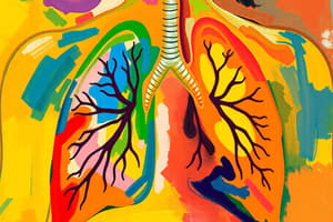 Respiratory System Overview