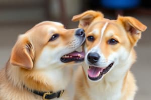 Understanding Dog Behavior and Breeds