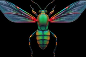 Introduction to Entomology: Insect Morphology