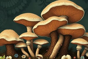 Fungi and Their Reproduction