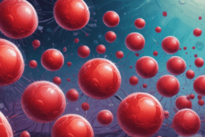 Blood Cells Types and Functions