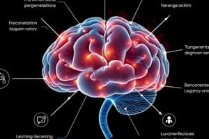 Psychology Chapter 1: Learning and Memory Basics