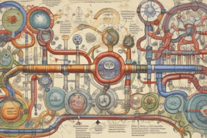 SAQ - Cellular Respiration and the Kreb Cycle